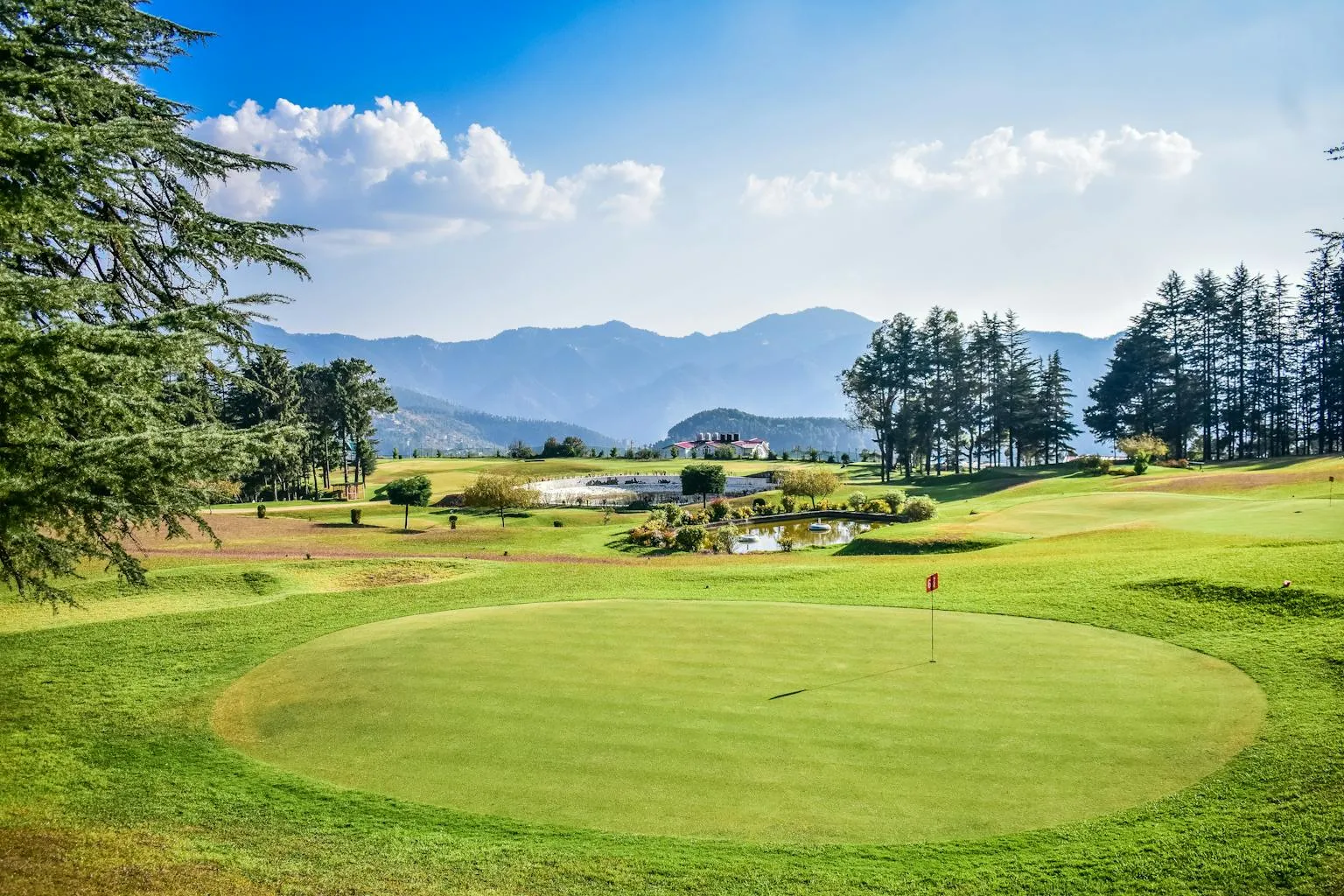 Golf course putting green with flag stick surrounded by mature trees and rolling terrain