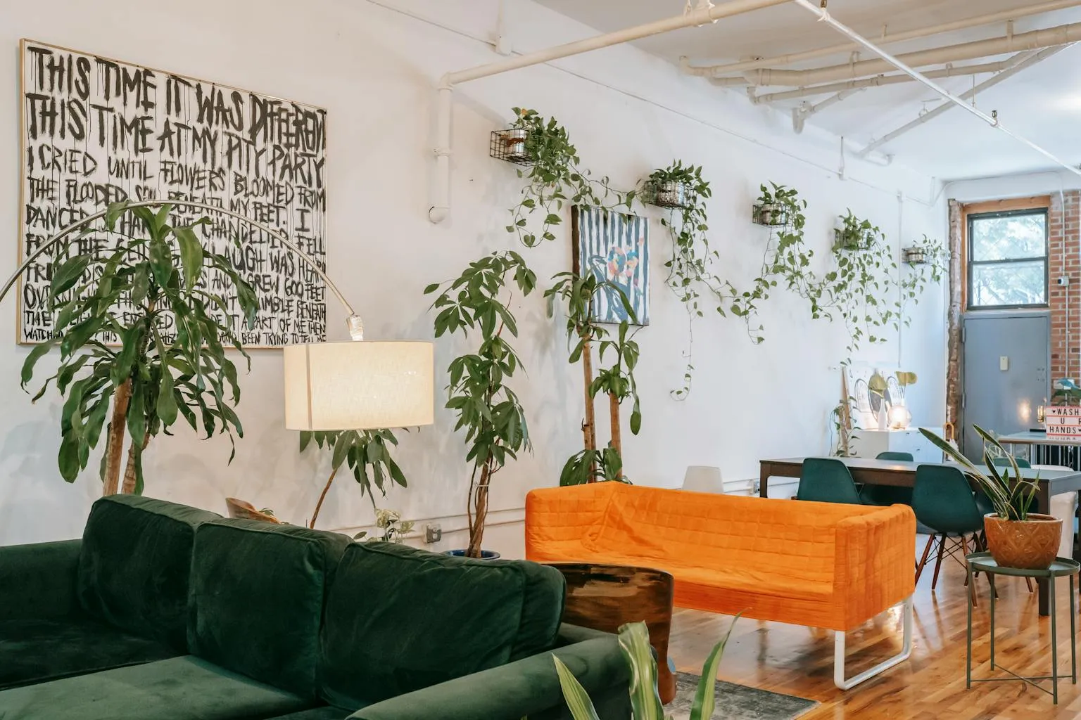 Bright modern living room with indoor plants and natural light